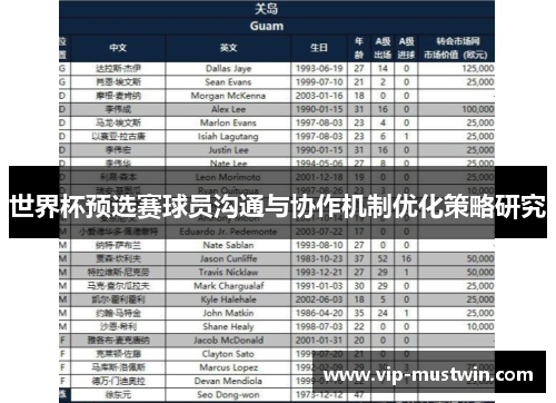 世界杯预选赛球员沟通与协作机制优化策略研究