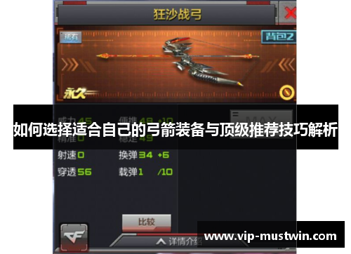 如何选择适合自己的弓箭装备与顶级推荐技巧解析